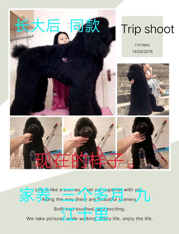 FSA8f1EwCWSr8qvw.jpg