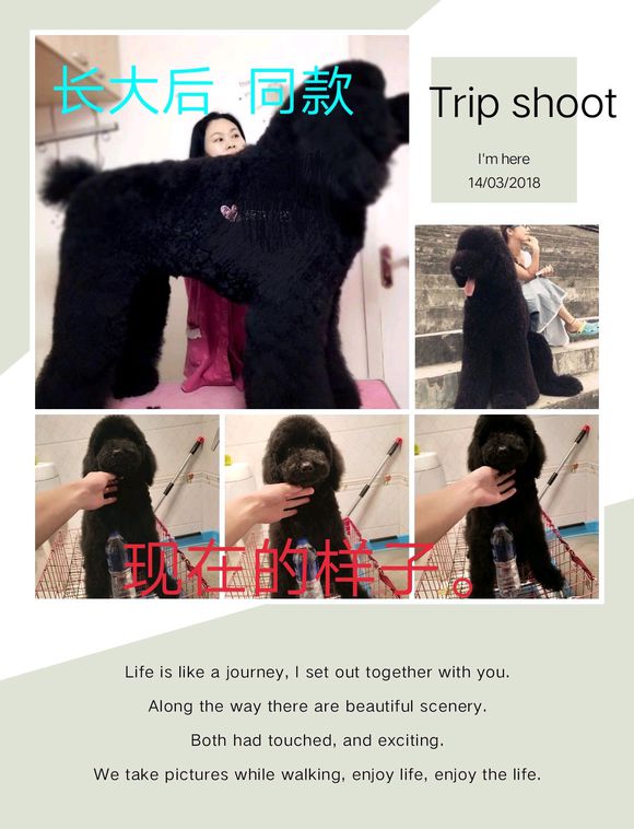 FrReilSrqJqlcF9J.jpg