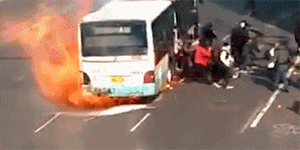 1521500700995571.gif