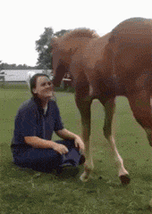 img-70f86863gy1fqokvi0abag204q06onpd.gif
