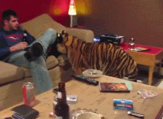 img-70f86863gy1fqokvj3pqxg209a06rnpf.gif