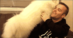 img-70f86863gy1fqokvkr7jng206o03j1kx.gif