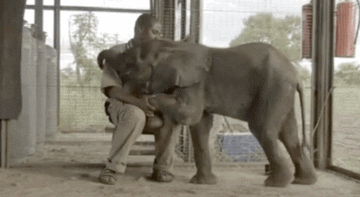 img-70f86863gy1fqokvlhqv3g20a005h1kx.gif
