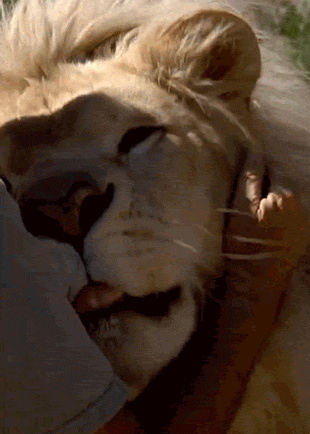img-70f86863gy1fqokvn6somg208m0c2hdt.gif