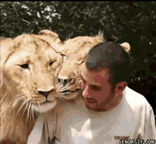 img-70f86863gy1fqokvo1vj0g206405nqv5.gif