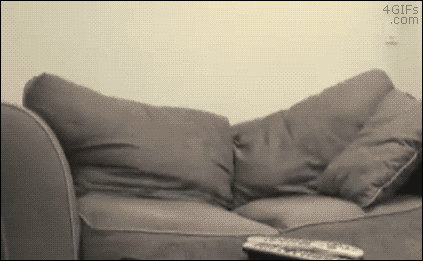 img-70f86863gy1fqokvoz9zkg20br079x6p.gif