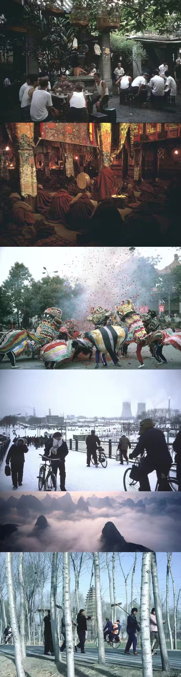 1681837466.jpeg