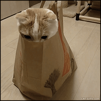 IMG_0993.GIF