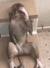 �������٣�������ҵ���û�ж�ʮ�꣬���ǲ��ŵ�