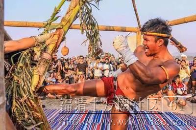 �߶ϰŽ�����̩ȭ������ǧ�����ۣ���ƽʱ���Ե���˼�࣡