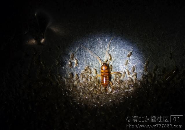Сǿҡһ䣬˲ͳ